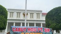 Masyarakat Adat Buay Mencurung Memohon Keberpihakkan Presiden Jokowi Atas Terampasnya Lahan Mereka