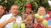 Menteri Perdagangan Zulhas Borong 1 Ton Mangga Indramayu.