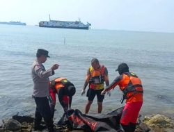 Polisi Selidiki Penemuan 3 Mayat Tanpa Kepala Di i Pantai Lampung