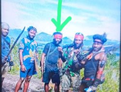 Satgas Damai Cartenz berhasil tangkap Pelaku Pembunuhan Danramil Aradide